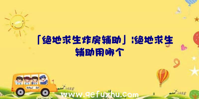 「绝地求生炸房辅助」|绝地求生辅助用哪个